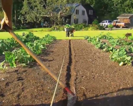 Как градинарството замества тренировките?