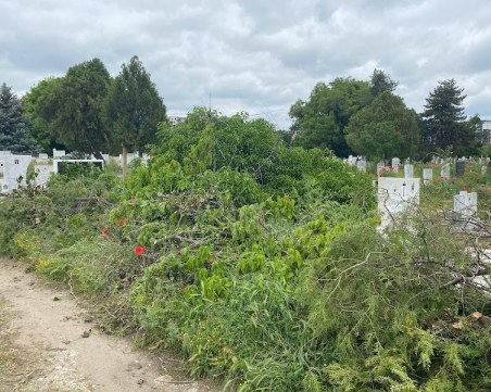 Пловдивчанин възмутен: Траурните паркове се превърнаха в змиярници