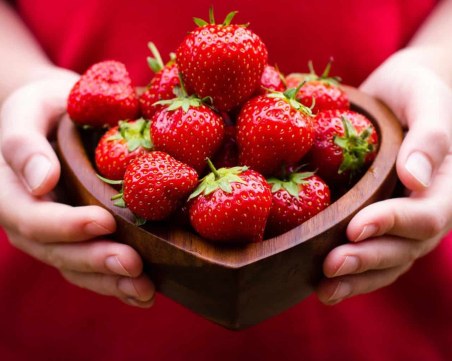 За първи път организират Фестивал на ягодата в Кричим