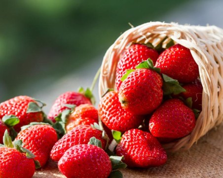 Вицепрезидентът ще бъде гост на Фестивала на ягодата в Кричим