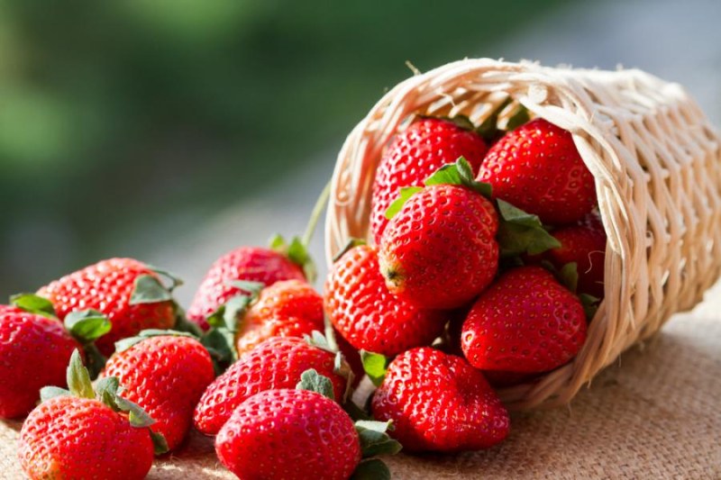 Вицепрезидентът ще бъде гост на Фестивала на ягодата в Кричим