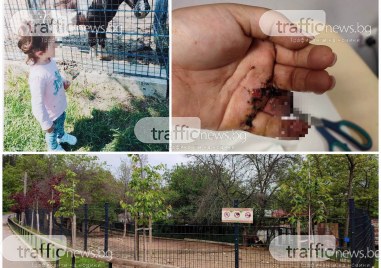 Пони отхапа пръстите на жена в старозагорския зоопарк Инцидентът е