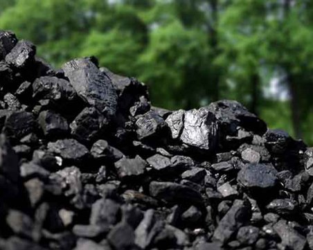 Собственик на автосервиз от Пловдивско, обвинен за търговия с въглища, се отърва от грандиозна глоба