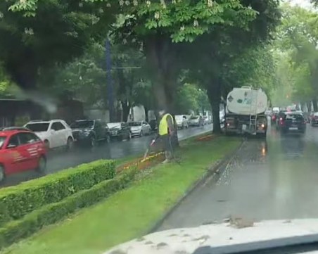 Градинар полива цветя по време на дъжд. Нужно ли е? ВИДЕО