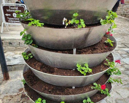 Откраднаха цветя в Стария град ден след поставянето им