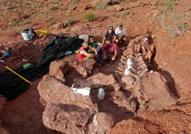 Аржентински палеонтолози са открили останките на гигантски нов вид тревопасен