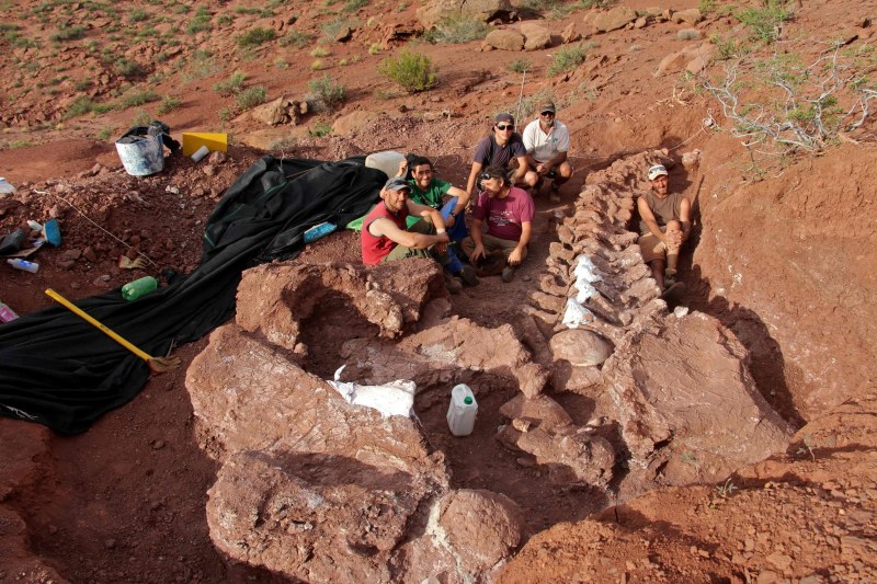 Аржентински палеонтолози са открили останките на гигантски нов вид тревопасен