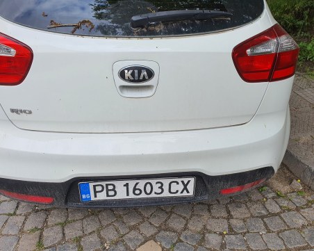 Издирват собственик на автомобил в Пловдив, коте е заклещено в него