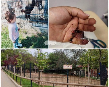 Социалните мрежи след случая с понито: Как така хапе, без да иска писмено разрешение