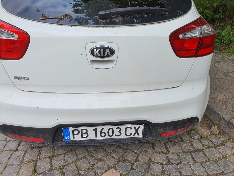 Издирват собственик на автомобил в Пловдив, коте е заклещено в него