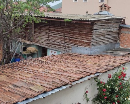 Мъж отглежда крави в незаконен обор в двора си в Куклен, съседи сезираха институциите