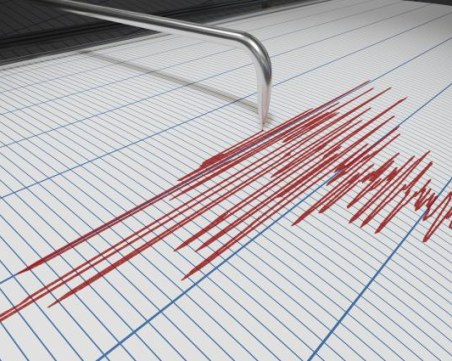 Земетресение с магнитут 4,9 разлюля окръг Адана в Югоизточна Турция