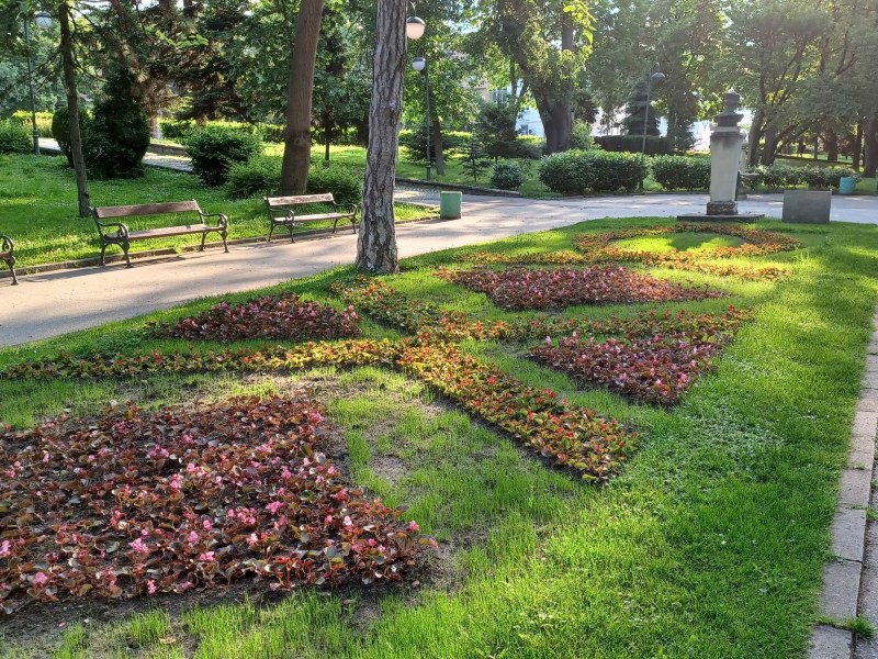 Ярки килими от цветя в центъра на Пловдив, над 120 цветни кошници по стълбовете