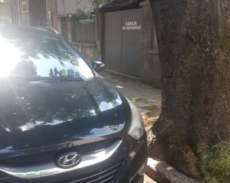 Ядосан пловдивчанин цитира Славейков: Не сме народ, а мърша