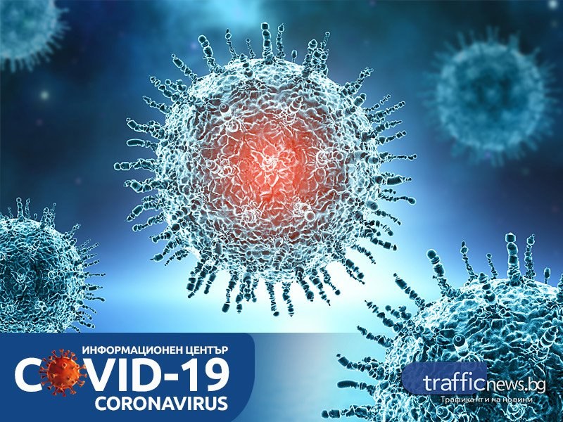 COVID в цифри: 33 нови случаи