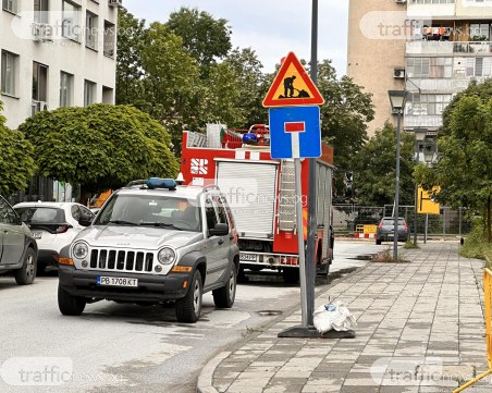 МВР-Пловдив за изтичането на газ: Отцепихме района на изкопните работи на ул. 