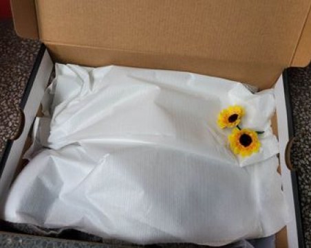 Жестокост! Неизвестен изхвърли две малки котета през терасата в Смирненски