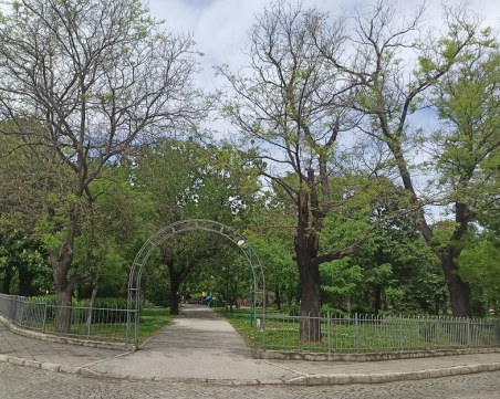 Голям детски празник в район 