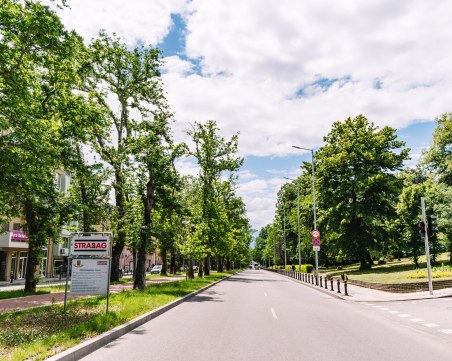 Слънце и температури до 27 градуса в Пловдив днес