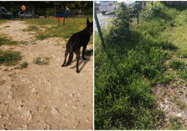 Кучешка площадка в Пловдив продължава да изглежда тотално занемарена Това