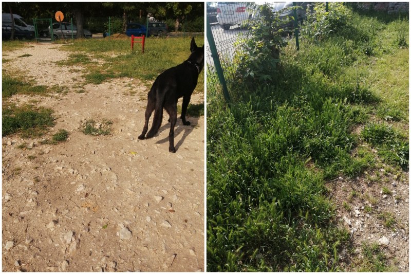 Месец по-късно: Кучешка площадка в центъра на Пловдив продължава да е тотално занемарена