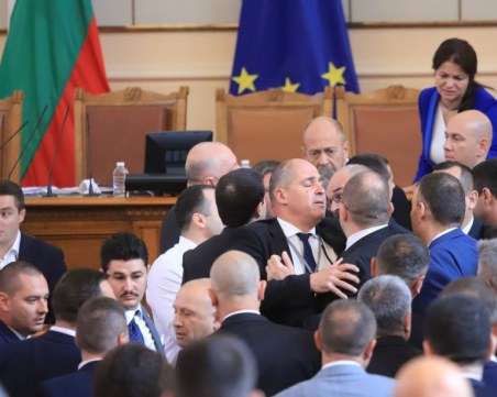 17 депутата с порицание след боя в Народното събрание