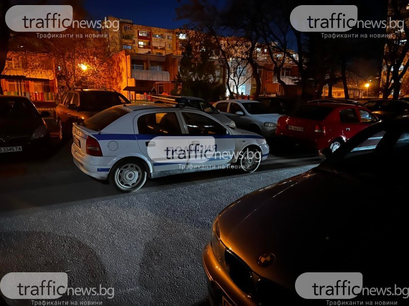 Районен съд- Пловдив наложи наказание от пет месеца условна присъда