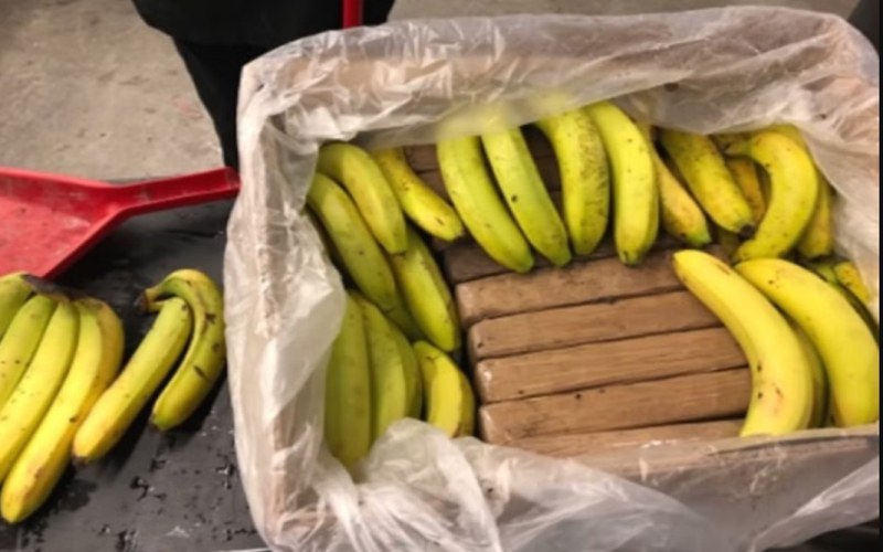 Гръцката полиция откри 161 кг кокаин в контейнери с банани