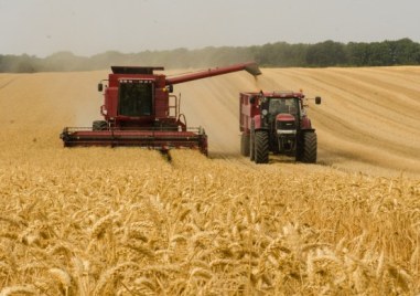 Срокът на забрана за внос на пшеница царевица рапица и