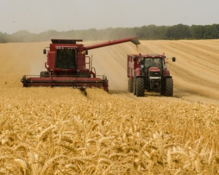 Удължава се забраната за внос на пшеница, царевица и слънчоглед в България