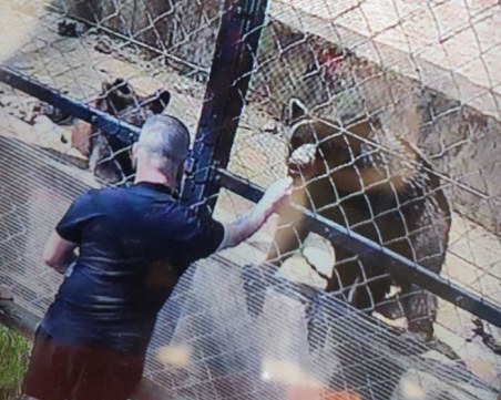 Посетители в старозагорския зоопарк продължават да погазват правилата, като се излагат на риск