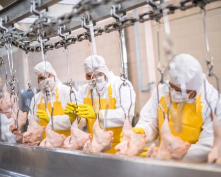 Мамят ли българските гурбетчиите в Германия с ниско заплащане?