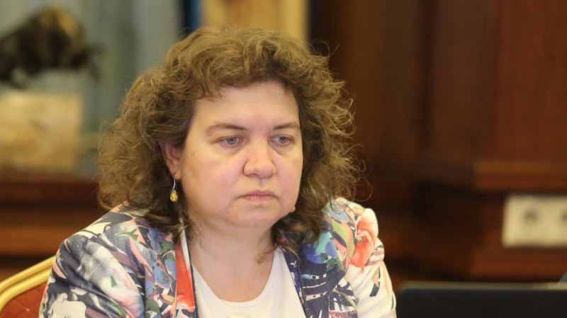 Доц. Киселова: Президентът може да забави отстраняването на Гешев