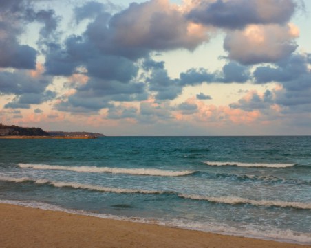 Трети труп на крава изплува на родното крайбрежие