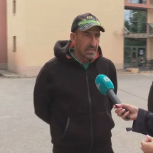 Кучета на Йордан Лечков разкъсали до смърт померан
