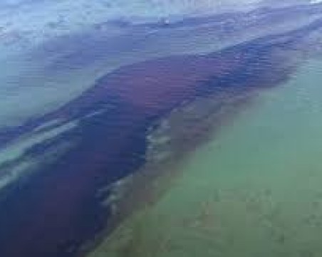 МОСВ: Няма замърсяване в българския участък на Дунав след нефтения разлив