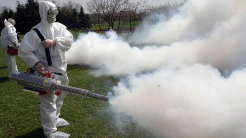 Общината в бойна готовност! Започва офанзива срещу комарите в Пловдив