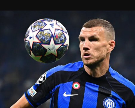 Джеко ще играе във Фенербахче