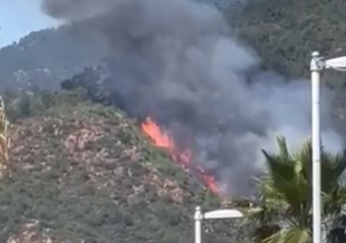 Голям горски пожар бушува край турския курорт Мармарис предава телевизия