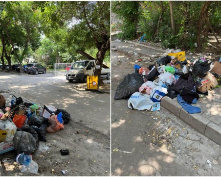 Пълна мизерия! Улица в Пловдив заприлича на сметище, заради липса на контейнери