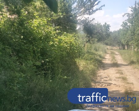 Жител на пловдивско село: Не змия, а глиган може да се скрие в тези треви!