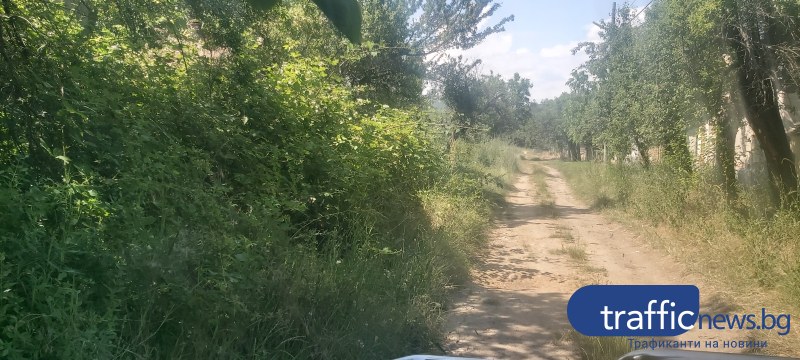 Жител на пловдивско село: Не змия, а глиган може да се скрие в тези треви!