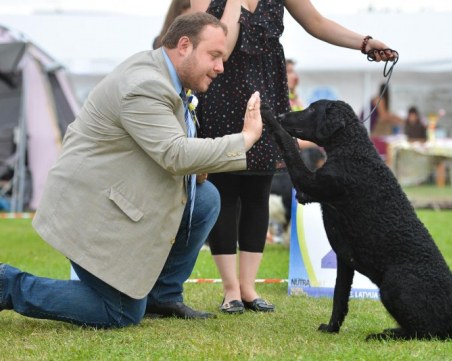 Пловдивски ветеринар: И най-агресивната порода може да бъде достоен и безопасен член на нашето общество