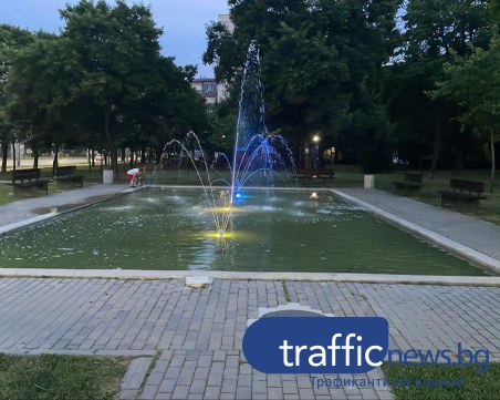 Фонтан или блато? Жаби крякат във фонтан в централната част на Пловдив