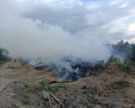 Само за месец 165 пожара в Пловдивско, голяма част от тях – пламнали отпадъци