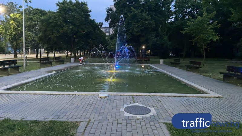 Фонтан или блато? Жаби крякат във фонтан в централната част на Пловдив