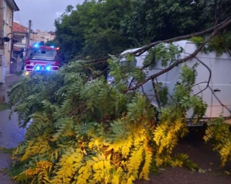 Клон се стовари върху бус в Асеновград