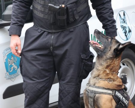 Мащабна акция! Хванаха 275 мигранти на границата