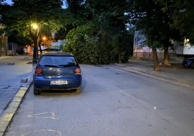 Дърво е паднало на улица в Кючука в малките часове