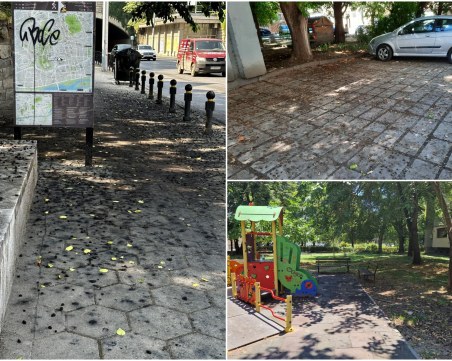 Черница до черница! Опадали плодове продължават да създават неудобства, какво е решението?